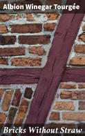 Albion Winegar Tourgée: Bricks Without Straw 