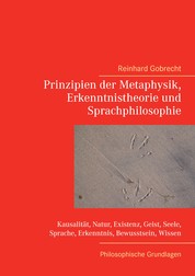 Prinzipien der Metaphysik, Erkenntnistheorie und Sprachphilosophie - Philosophische Grundlagen