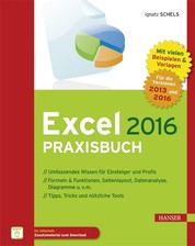 Excel 2016 Praxisbuch - Von der ersten Tabellenkalkulation bis hin zur Nutzung von ODBC und Power Pivot