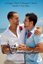 Sommergayflüster - Eine homoerotische Anthologie