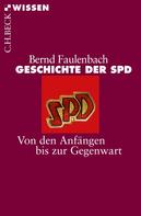 Bernd Faulenbach: Geschichte der SPD 