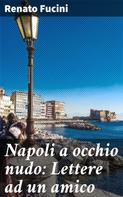 Renato Fucini: Napoli a occhio nudo: Lettere ad un amico 