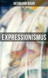 Expressionismus - Eine kritische Schrift