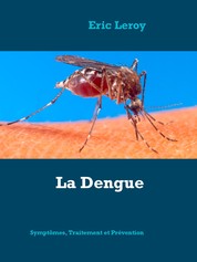 La Dengue - Symptômes, traitement, prévention, où en est-on ?