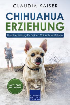 Chihuahua Erziehung - Hundeerziehung für Deinen Chihuahua Welpen