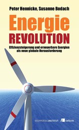 Energierevolution - Effizienzsteigerung und erneuerbare Energien als neue globale Herausforderung