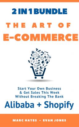 The Art Of E-Commerce (2 In 1 Bundle)
