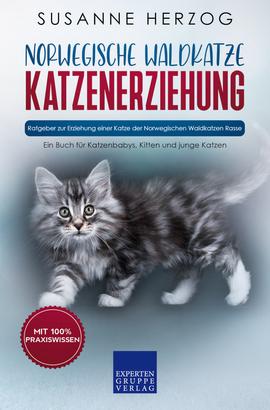 Norwegische Waldkatze Katzenerziehung - Ratgeber zur Erziehung einer Katze der Norwegischen Waldkatzen Rasse