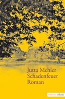 Jutta Mehler: Schadenfeuer ★★★★