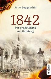 1842. Der große Brand von Hamburg - Historischer Roman