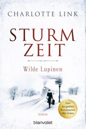 Sturmzeit - Wilde Lupinen - Roman