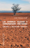 José Antonio Goñi Beasoain de Paulorena: Las diversas Iglesias y comunidades cristianas 