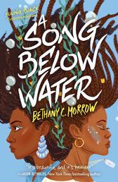 A Song Below Water - A Novel