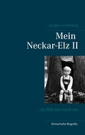 Juergen von Rehberg: Mein Neckar-Elz II 
