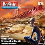 Perry Rhodan 2825: Unter dem Sternenbaldachin - Perry Rhodan-Zyklus "Die Jenzeitigen Lande"