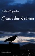 Jochen Pogrzeba: Stadt der Krähen 