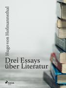 Hugo von Hofmannsthal: Drei Essays über Literatur 