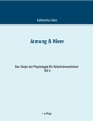 Katharina Ecker: Atmung & Niere 