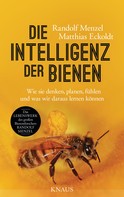 Matthias Eckoldt: Die Intelligenz der Bienen ★★★★★