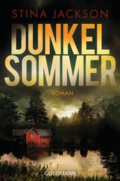 Dunkelsommer - Der Nr.1-Bestseller aus Schweden - Roman