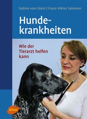 Hundekrankheiten - Wie der Tierarzt helfen kann