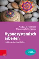 Cordula Meyer-Erben: Hypnosystemisch arbeiten: Ein kleiner Praxisleitfaden 
