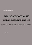 Ariel Prunell: UN LONG VOYAGE ou L'empreinte d'une vie - Tome 13 