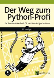 Der Weg zum Python-Profi - Ein Best-Practice-Buch für sauberes Programmieren