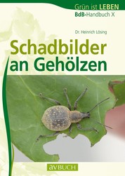 Schadbilder an Gehölzen - BdB-Handbuch X