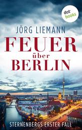 Feuer über Berlin - Sternenbergs erster Fall - Kriminalroman | Ein Kommissar und Telefonseelsorger, der mit den dunkelsten menschlichen Abgründen konfrontiert wird