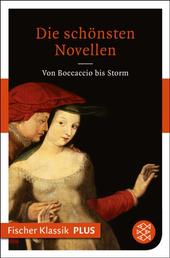 Die schönsten Novellen - Von Boccaccio bis Storm