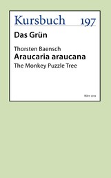Araucaria Araucana - The Monkey Puzzle Tree