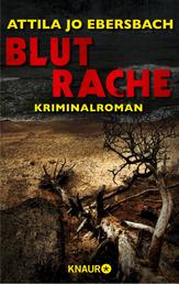 Blutrache. Ein Edersee-Krimi - Kriminalroman