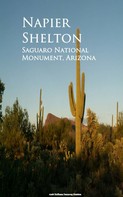 Napier Shelton: Saguaro National Monument, Arizona 