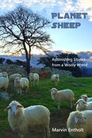 Marvin Entholt: Planet Sheep 