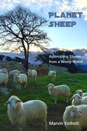 Planet Sheep - Astonishing Stories from a Wooly World