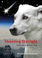Christine Goeb-Kümmel: Shooting Starlight 