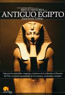 Juan Jesus Haro Vallejo: Breve Historia del Antiguo Egipto 