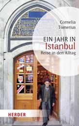 Ein Jahr in Istanbul - Reise in den Alltag