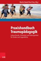 Martin Baierl: Praxishandbuch Traumapädagogik 