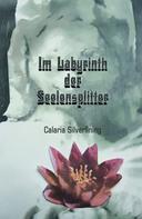 Carlaria Silverlining: Im Labyrinth der Seelensplitter 
