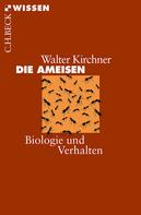 Walter Kirchner: Die Ameisen ★★★★★