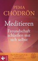 Pema Chödrön: Meditieren - Freundschaft schließen mit sich selbst ★★★★★
