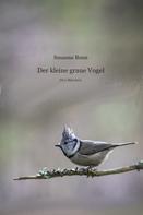 Susanne Bonn: Der kleine graue Vogel 