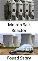 Fouad Sabry: Molten Salt Reactor 