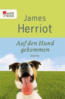 James Herriot: Auf den Hund gekommen ★★★★