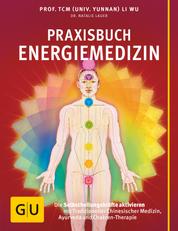 Praxisbuch Energiemedizin - Die Selbstheilungskräfte aktivieren mit Traditioneller Chinesischer Medizin, Ayurveda und Chakren-Therapie