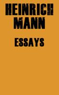 Heinrich Mann: Essays 
