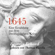 1645 - Eine Erzählung aus dem Dreißigjährigen Krieg