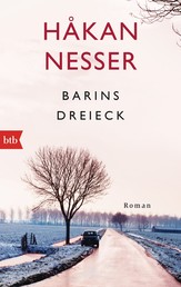 Barins Dreieck - Roman